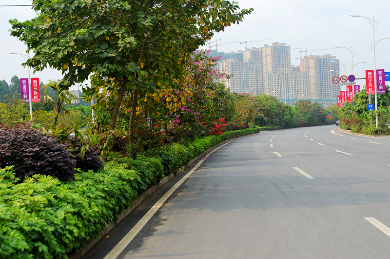 k8����(�й�)����Ӯ�ҡ�һ������