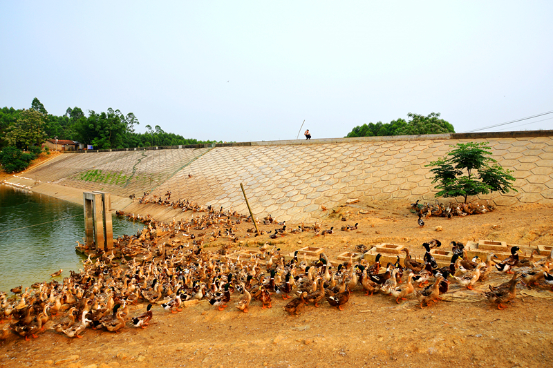 k8����(�й�)����Ӯ�ҡ�һ������