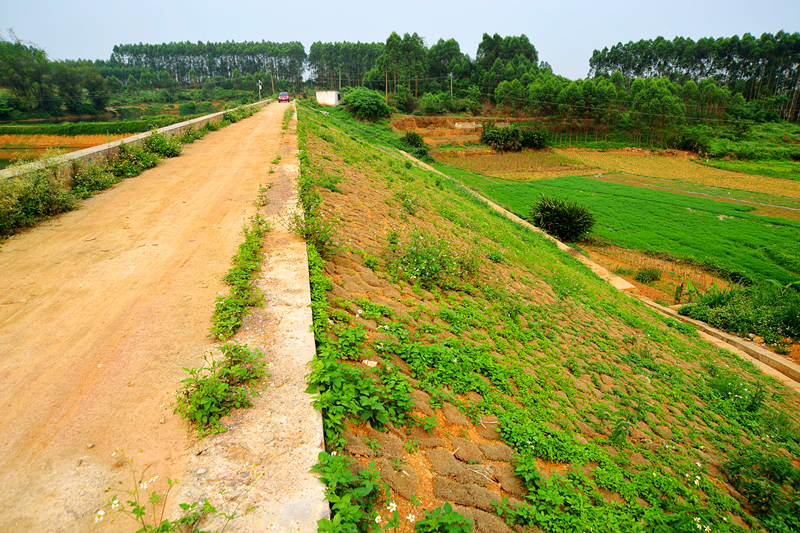 k8����(�й�)����Ӯ�ҡ�һ������