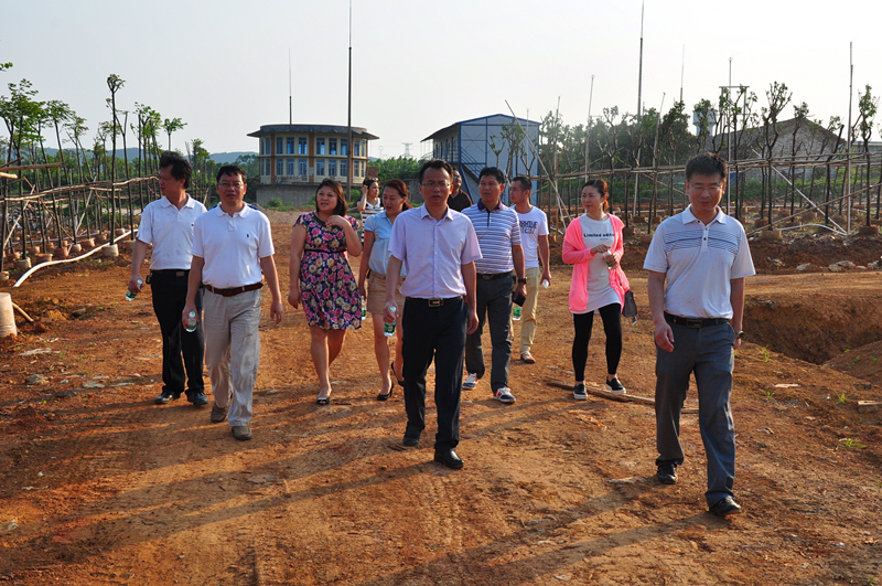 k8����(�й�)����Ӯ�ҡ�һ������