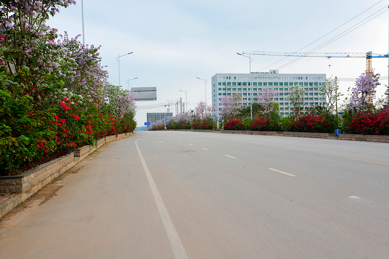 k8����(�й�)����Ӯ�ҡ�һ������