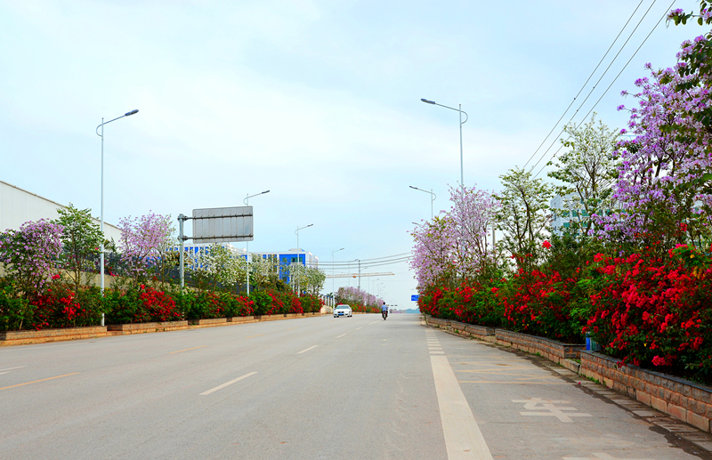 k8����(�й�)����Ӯ�ҡ�һ������