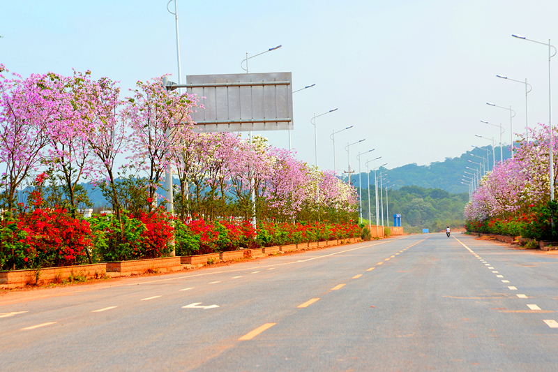 k8����(�й�)����Ӯ�ҡ�һ������