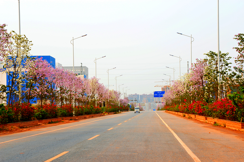 k8����(�й�)����Ӯ�ҡ�һ������