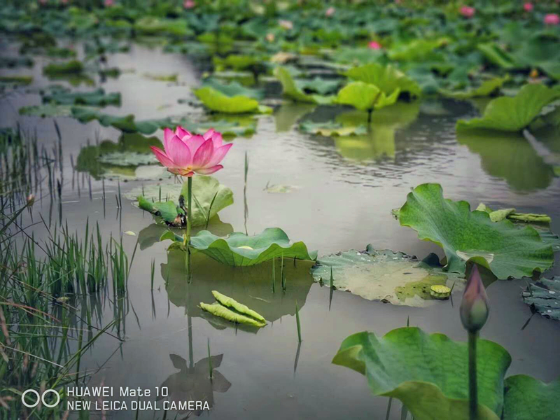 k8����(�й�)����Ӯ�ҡ�һ������