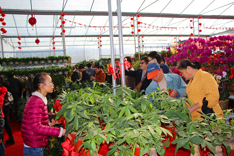 k8����(�й�)����Ӯ�ҡ�һ������