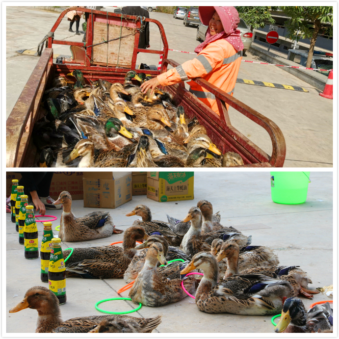 k8����(�й�)����Ӯ�ҡ�һ������