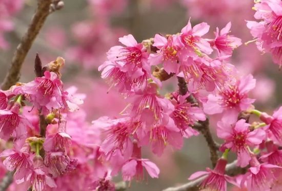 k8����(�й�)����Ӯ�ҡ�һ������