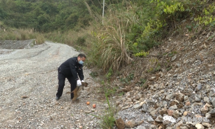 k8����(�й�)����Ӯ�ҡ�һ������