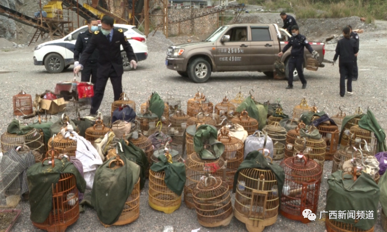 k8����(�й�)����Ӯ�ҡ�һ������