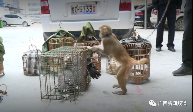 k8����(�й�)����Ӯ�ҡ�һ������