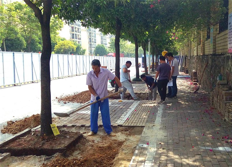 k8����(�й�)����Ӯ�ҡ�һ������