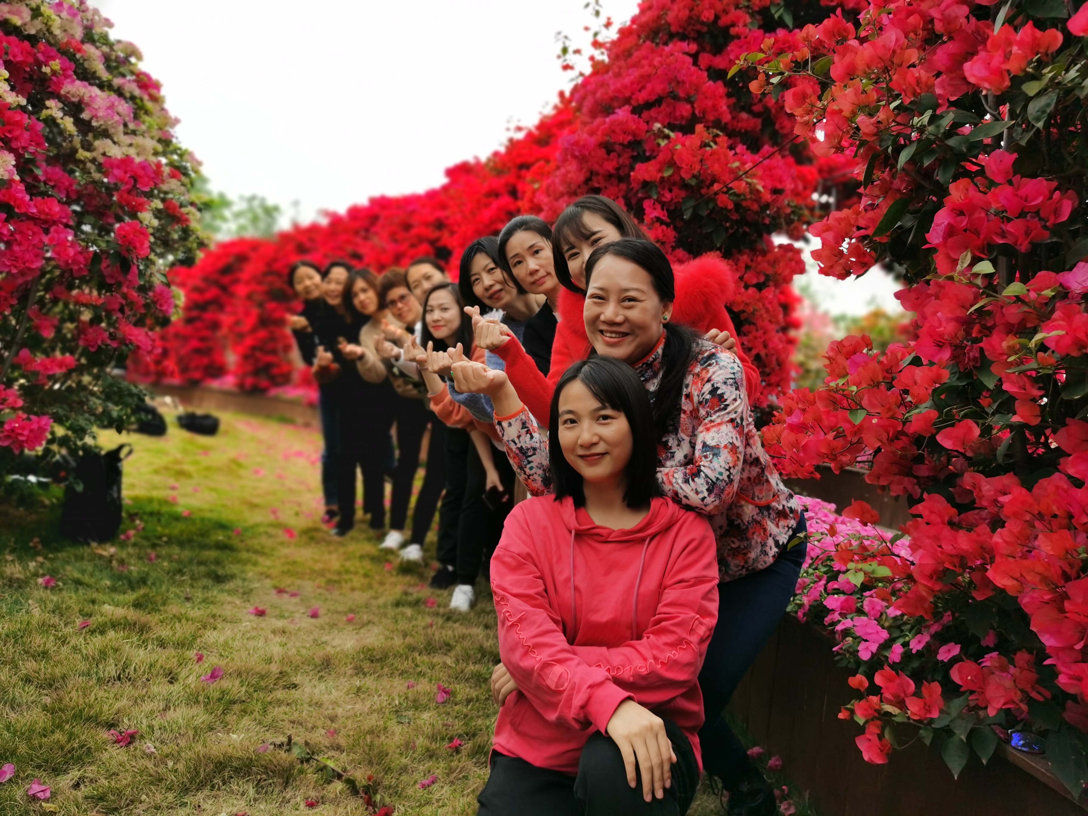 k8����(�й�)����Ӯ�ҡ�һ������