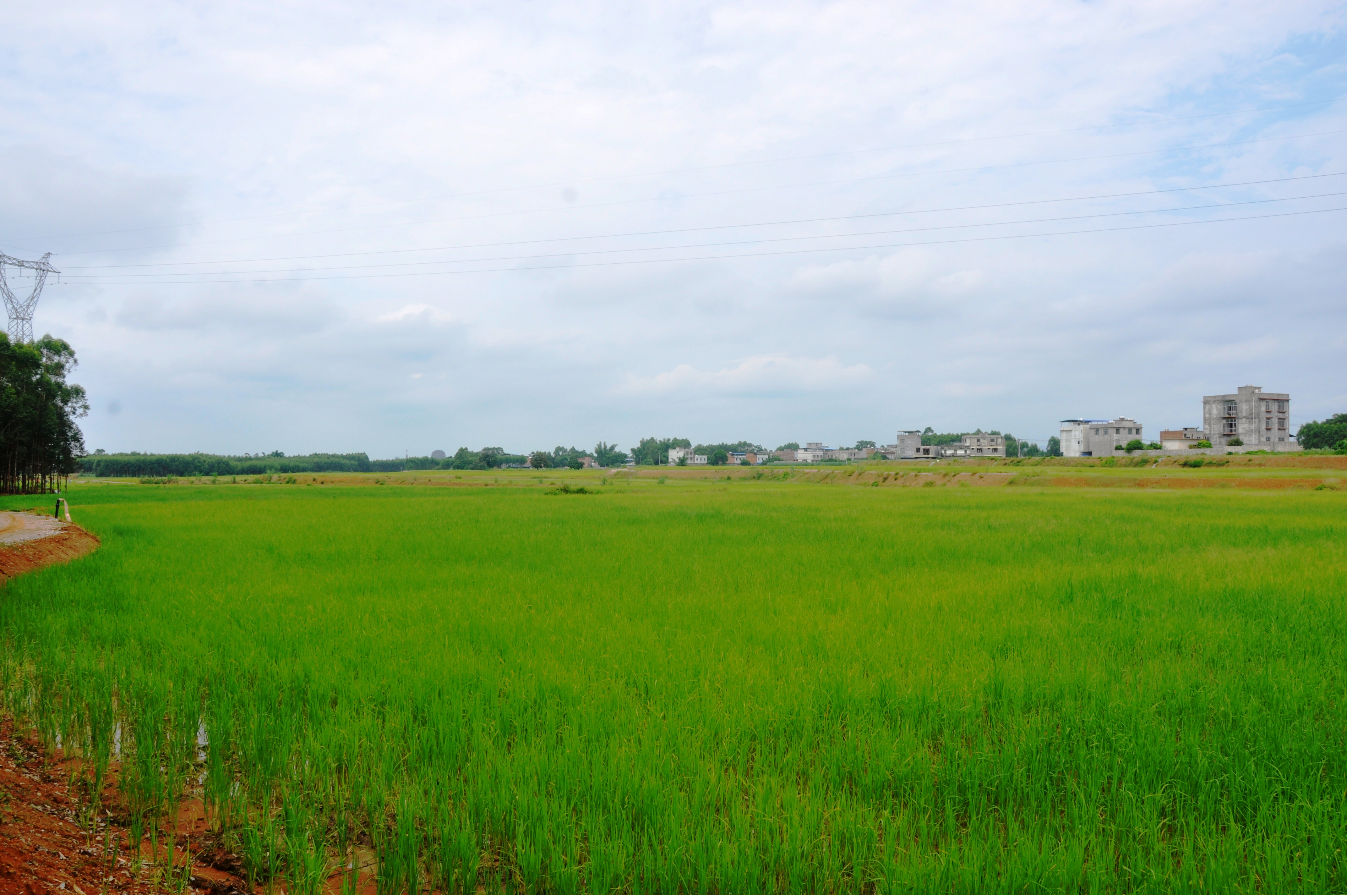 k8����(�й�)����Ӯ�ҡ�һ������